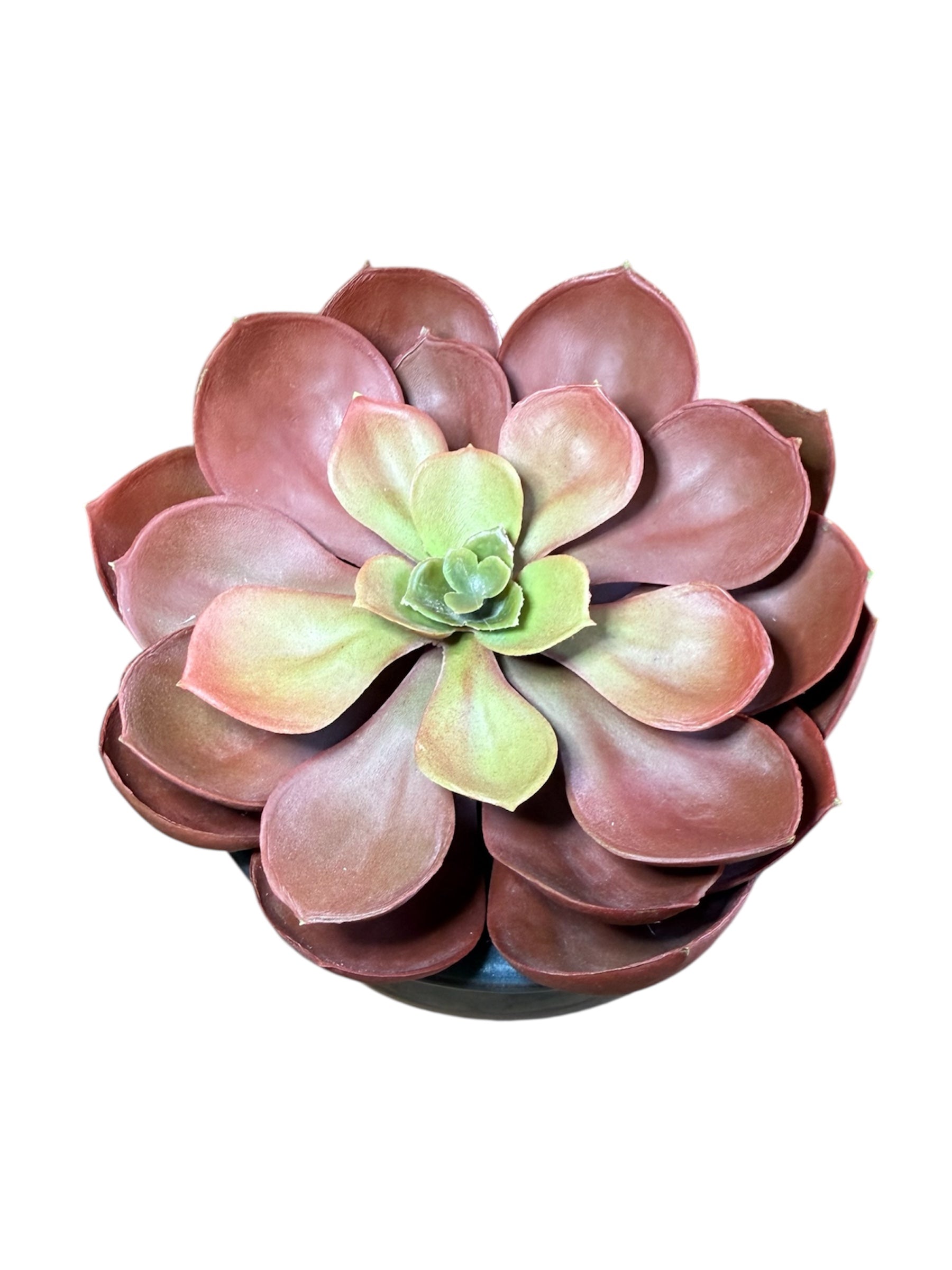Artificial Echeveria Succulent in Gray Ceramic Pot – Perfect Gift for Home or Office Decor