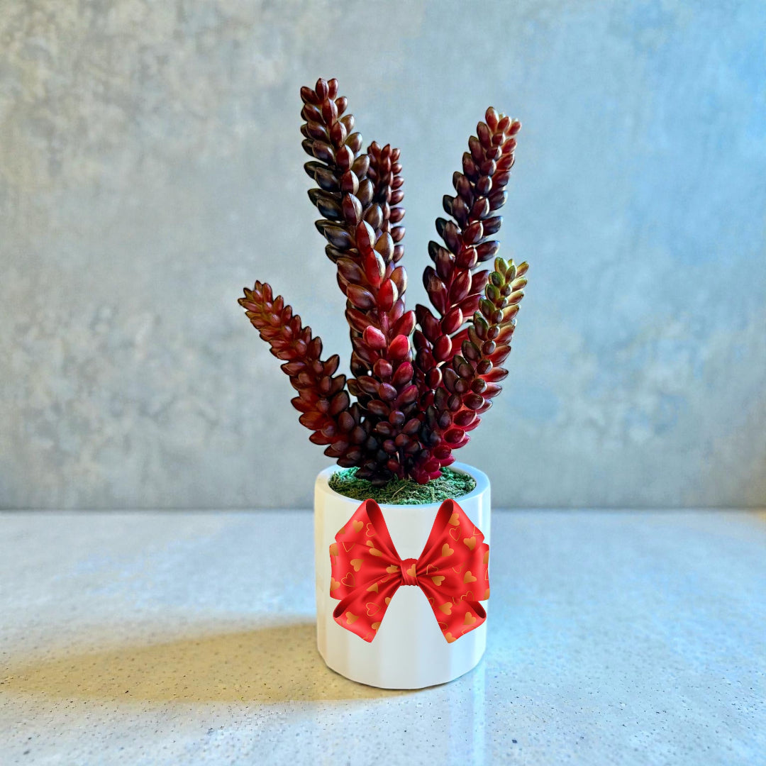 Artificial burro’s tail succulent with cascading green foliage in white ceramic pot