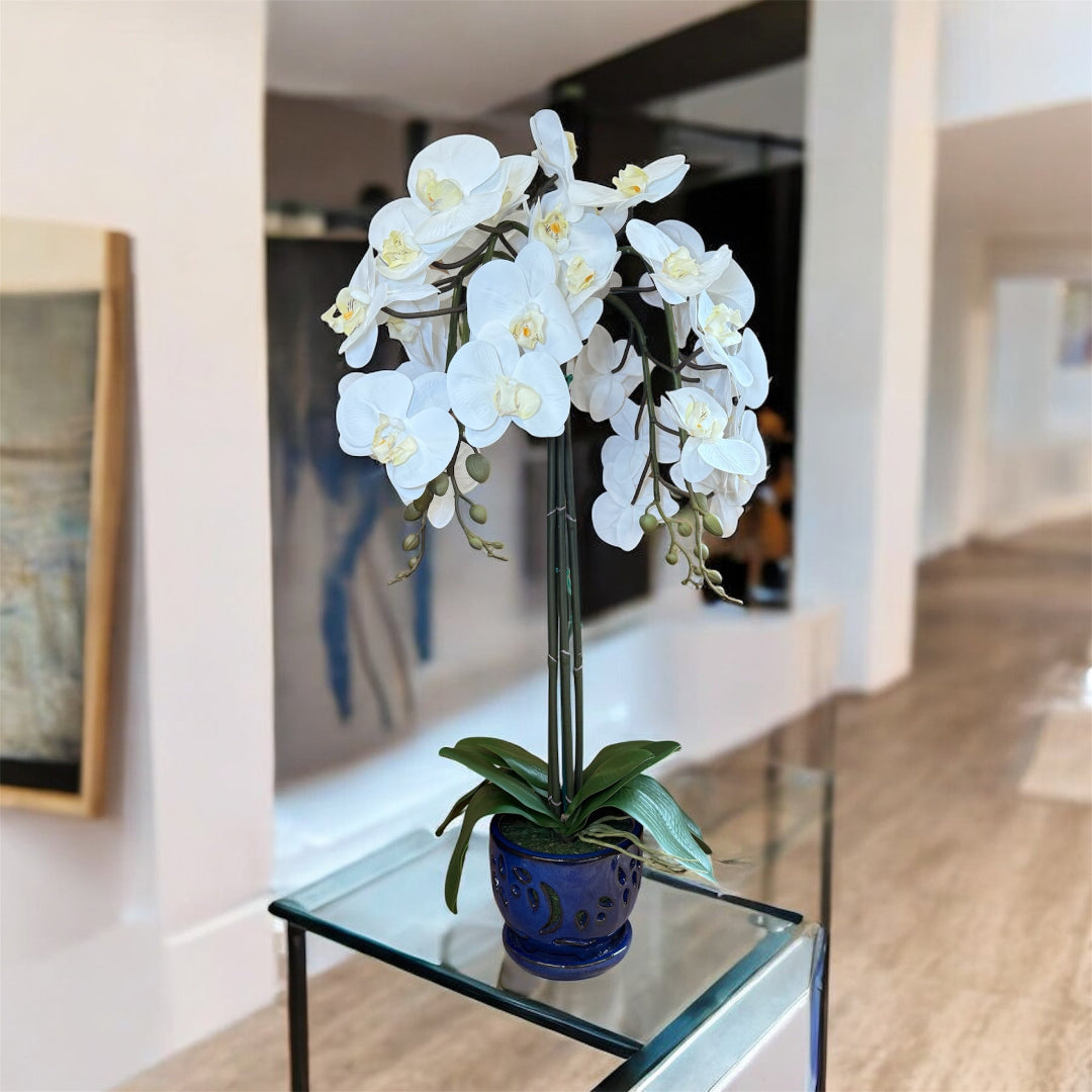 Real touch artificial orchid with white blooms in a blue ceramic pot