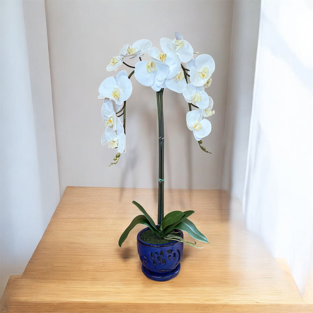 White faux orchid arrangement with realistic petals and a stylish blue planter