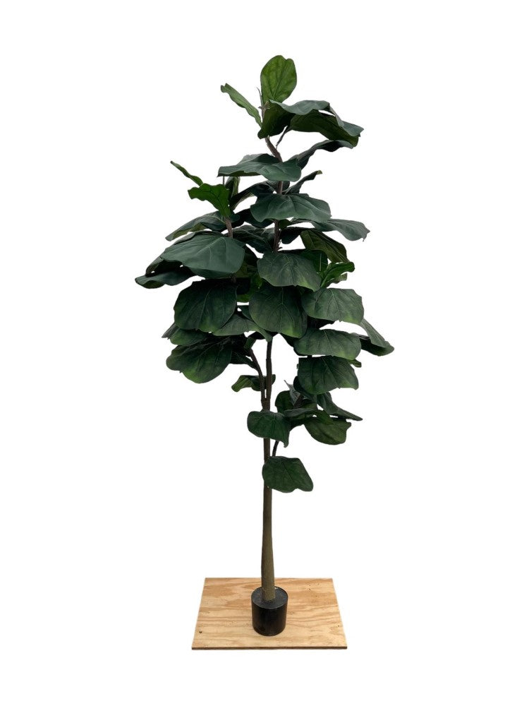 Gorgeous Artificial 7 ft Fiddle Leaf Tree with Big Leafs