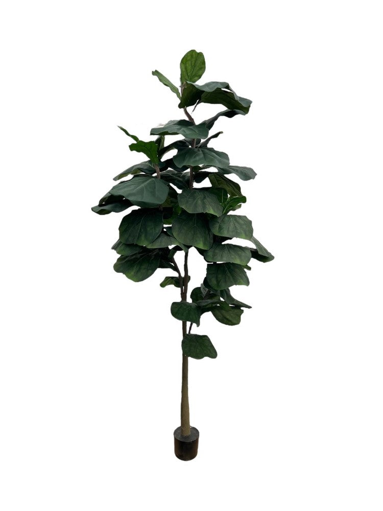 Gorgeous Artificial 7 ft Fiddle Leaf Tree with Big Leafs