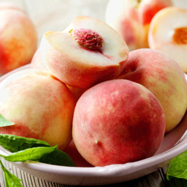 Florida King Peach Tree