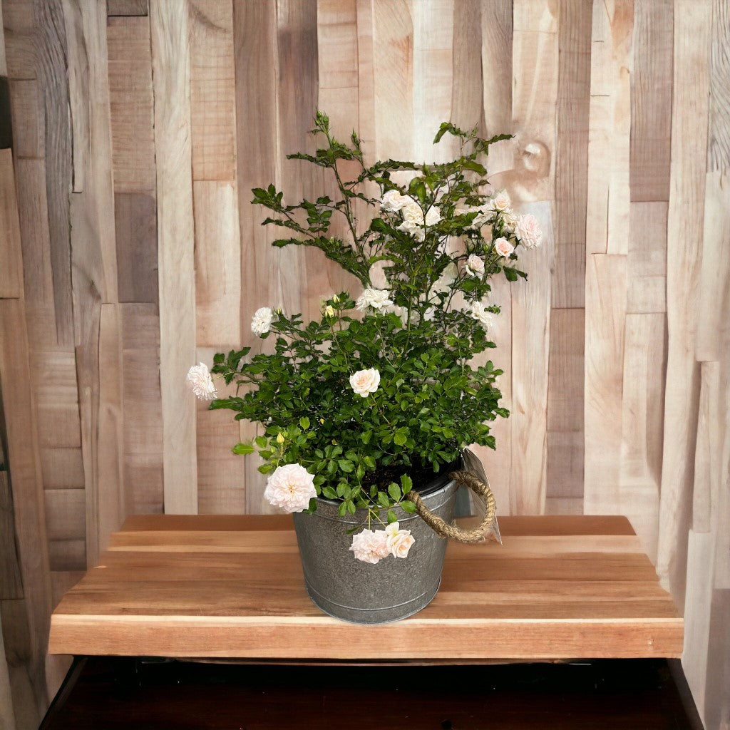 Alluring Pot/Planter with Happy Mother&