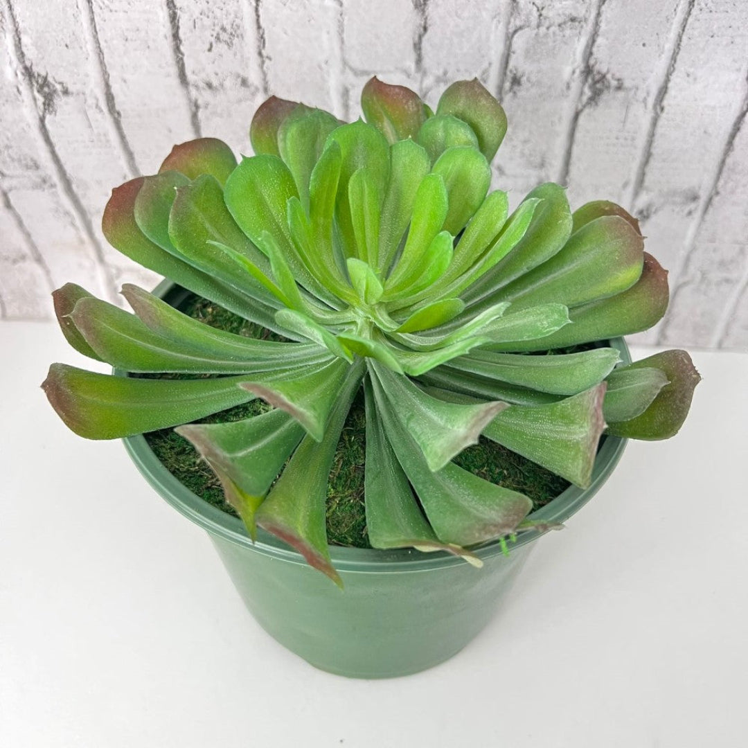Close-up of realistic artificial houseleek succulent plant in green pot