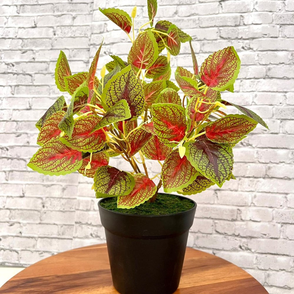 Gorgeous Artificial Leaves in Plastic Pot