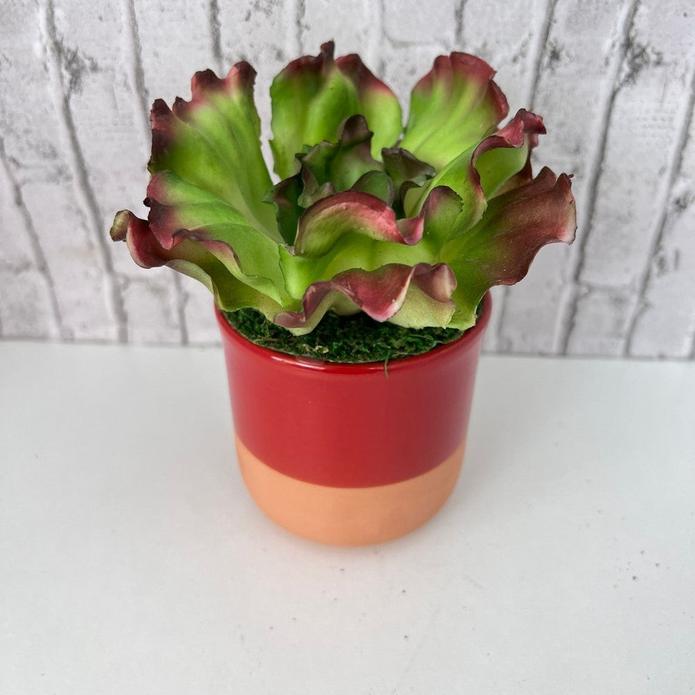 Gorgeous Artificial Plant in Pot of Your Choice