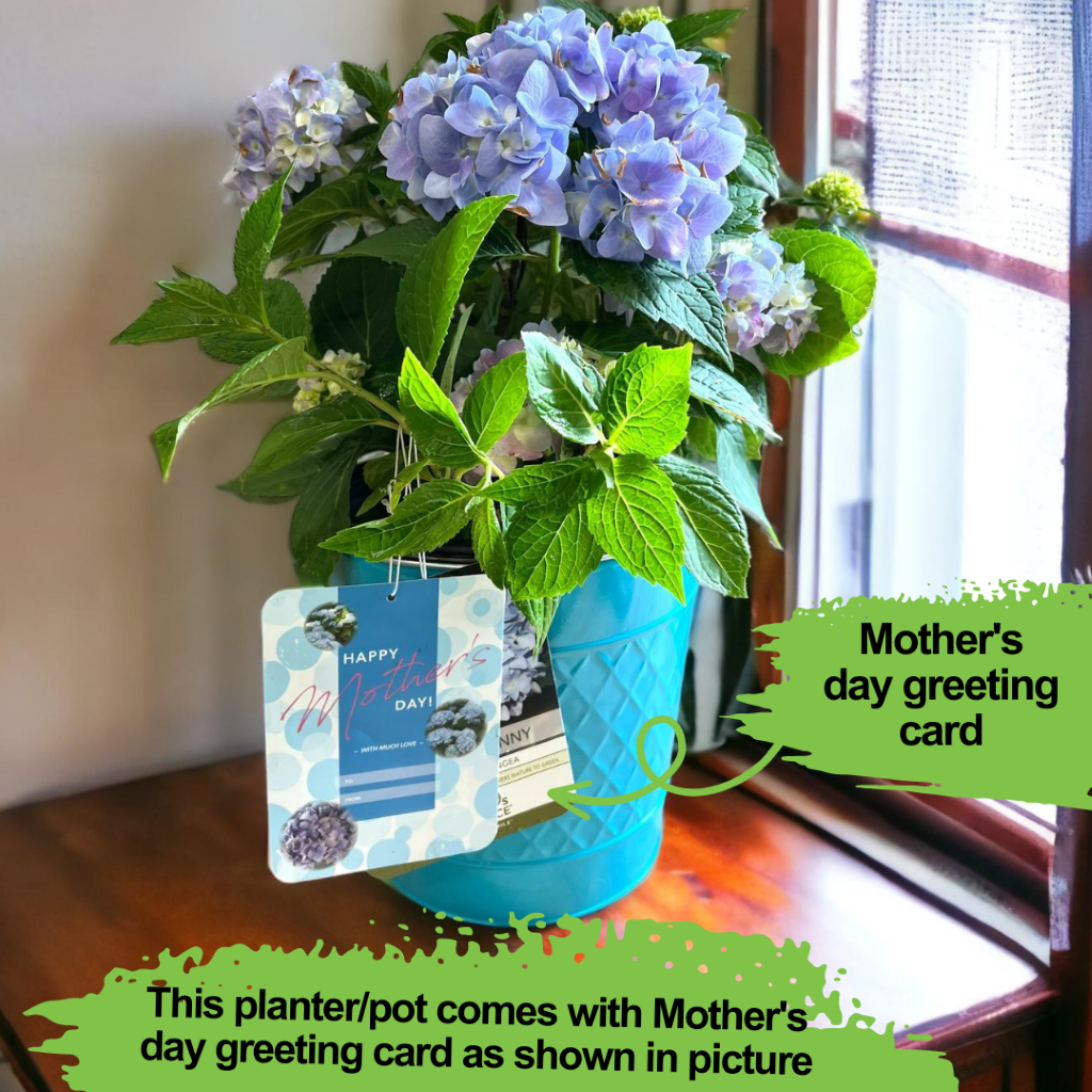 Alluring Pot/Planter with Happy Mother&