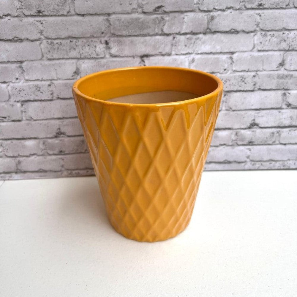 Gorgeous Ceramic Planter in color of your choice