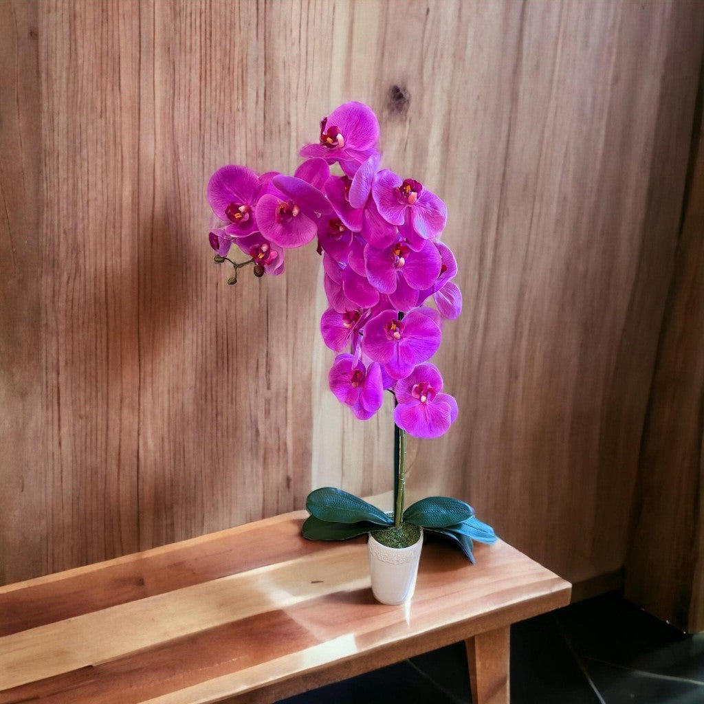 Gorgeous Orchid in Ceramic Round Pot
