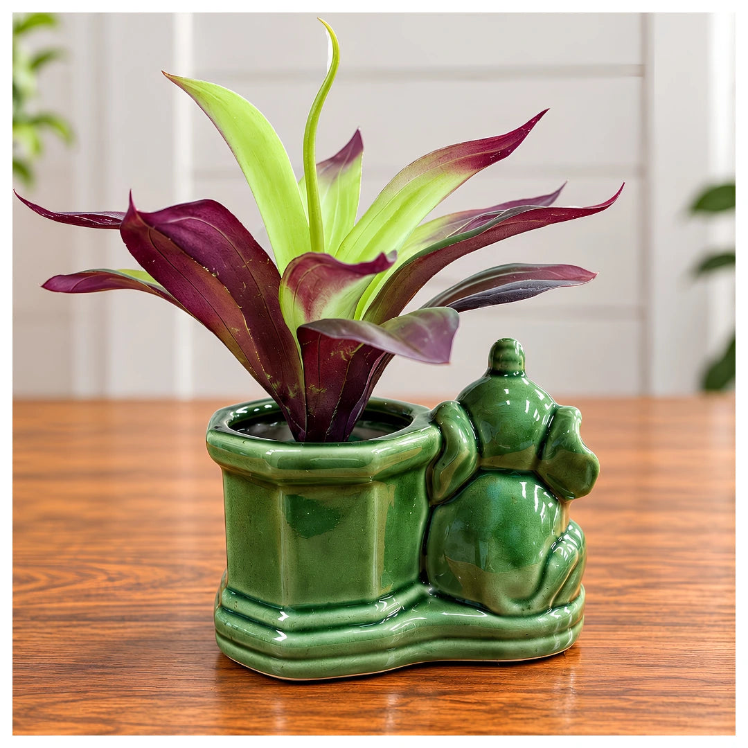 Artificial Purple and Green Bromeliad Plant in Decorative Elephant Ceramic Planter (Good Gift)