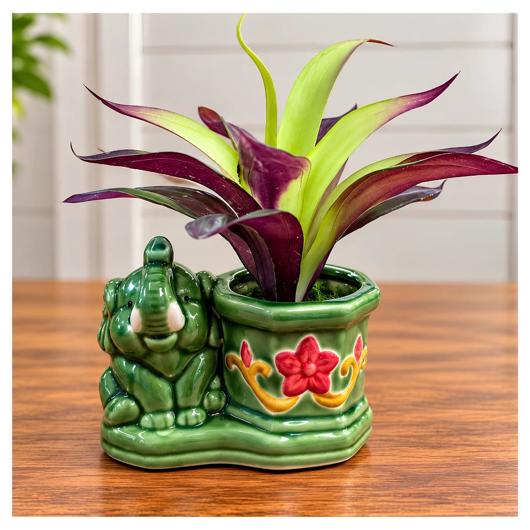 Artificial Purple and Green Bromeliad Plant in Decorative Elephant Ceramic Planter (Good Gift)
