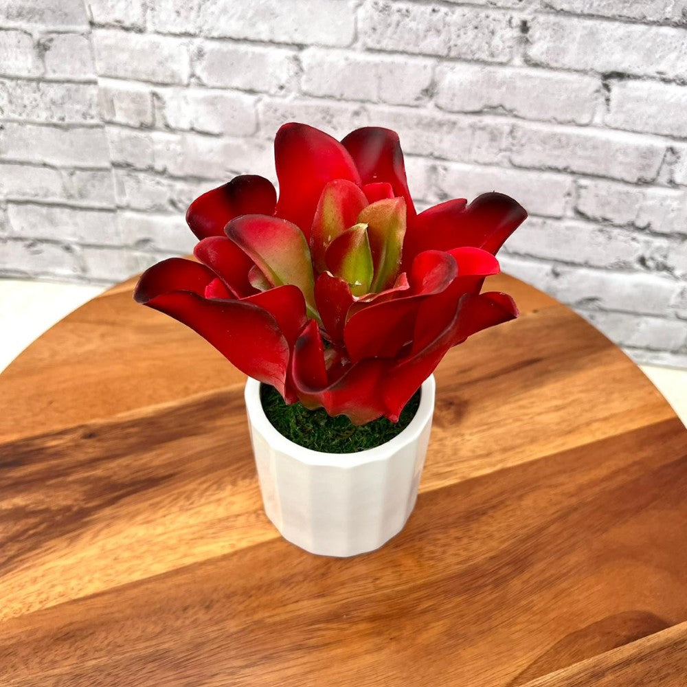 Stunning Artificial Plant with Ceramic Pot