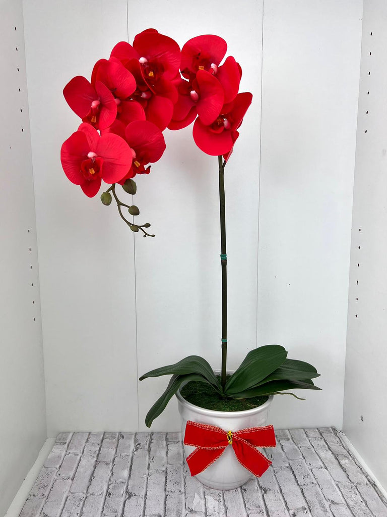 Gorgeous Red Orchid in Ceramic Pot