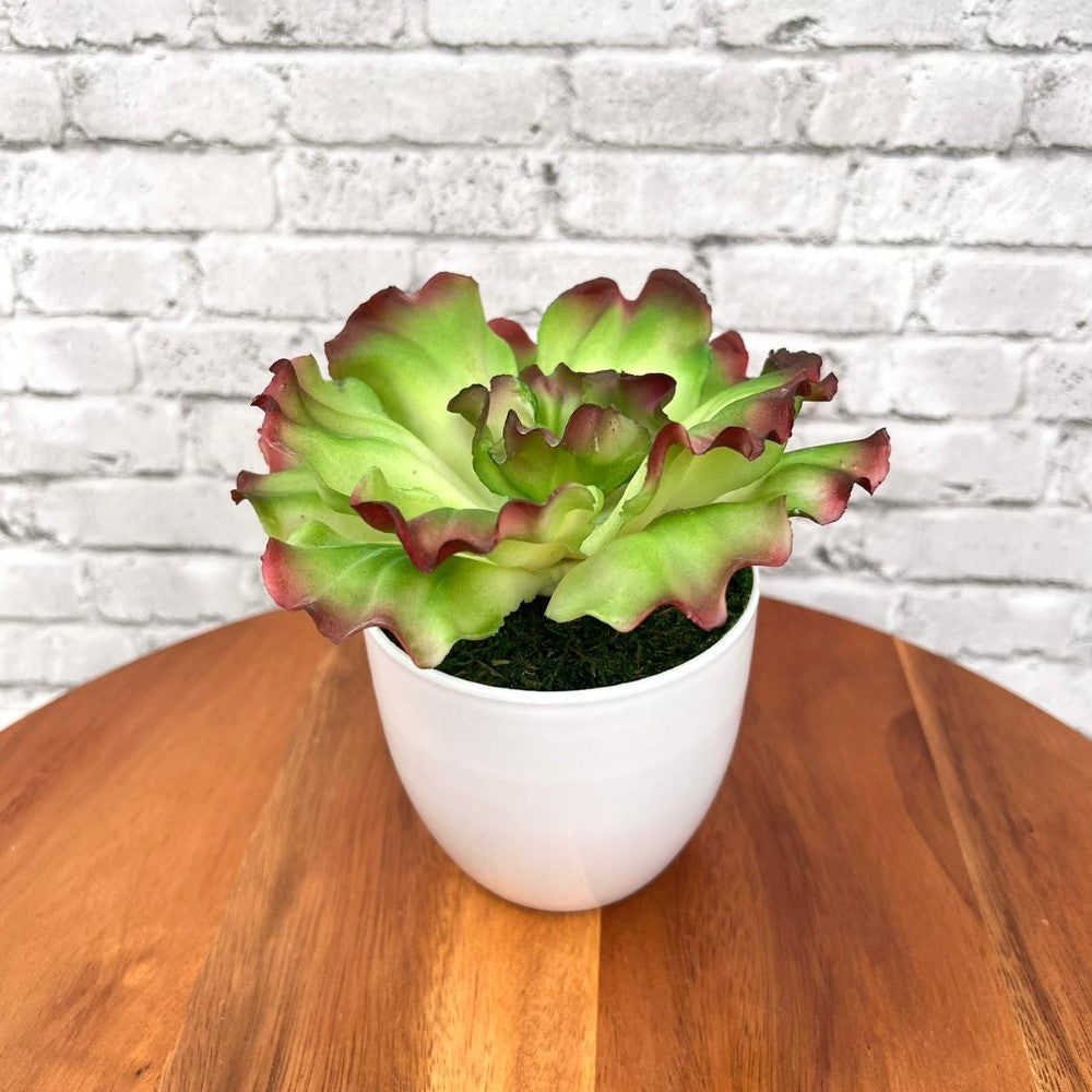 Gorgeous Artificial Plant in Pot of Your Choice