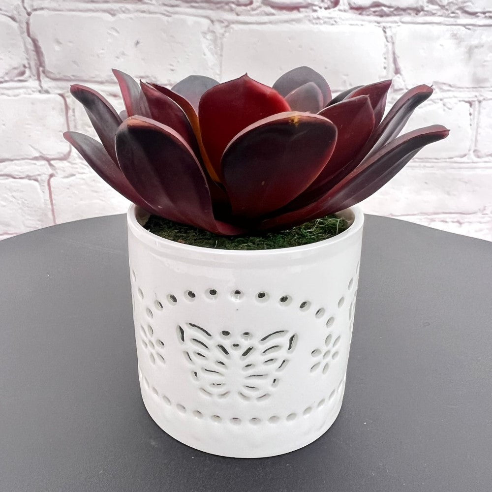 Beautiful Succulent in Ceramic Pot - Artificial