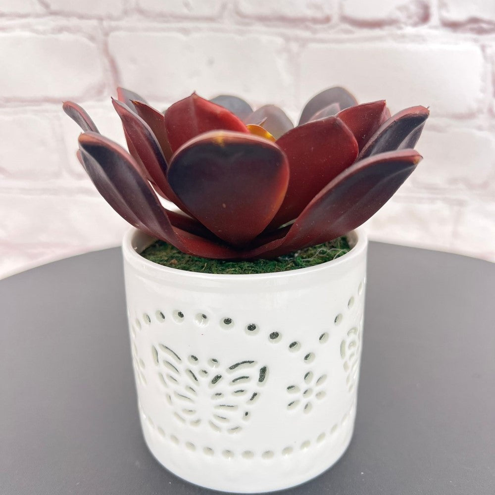Beautiful Succulent in Ceramic Pot - Artificial