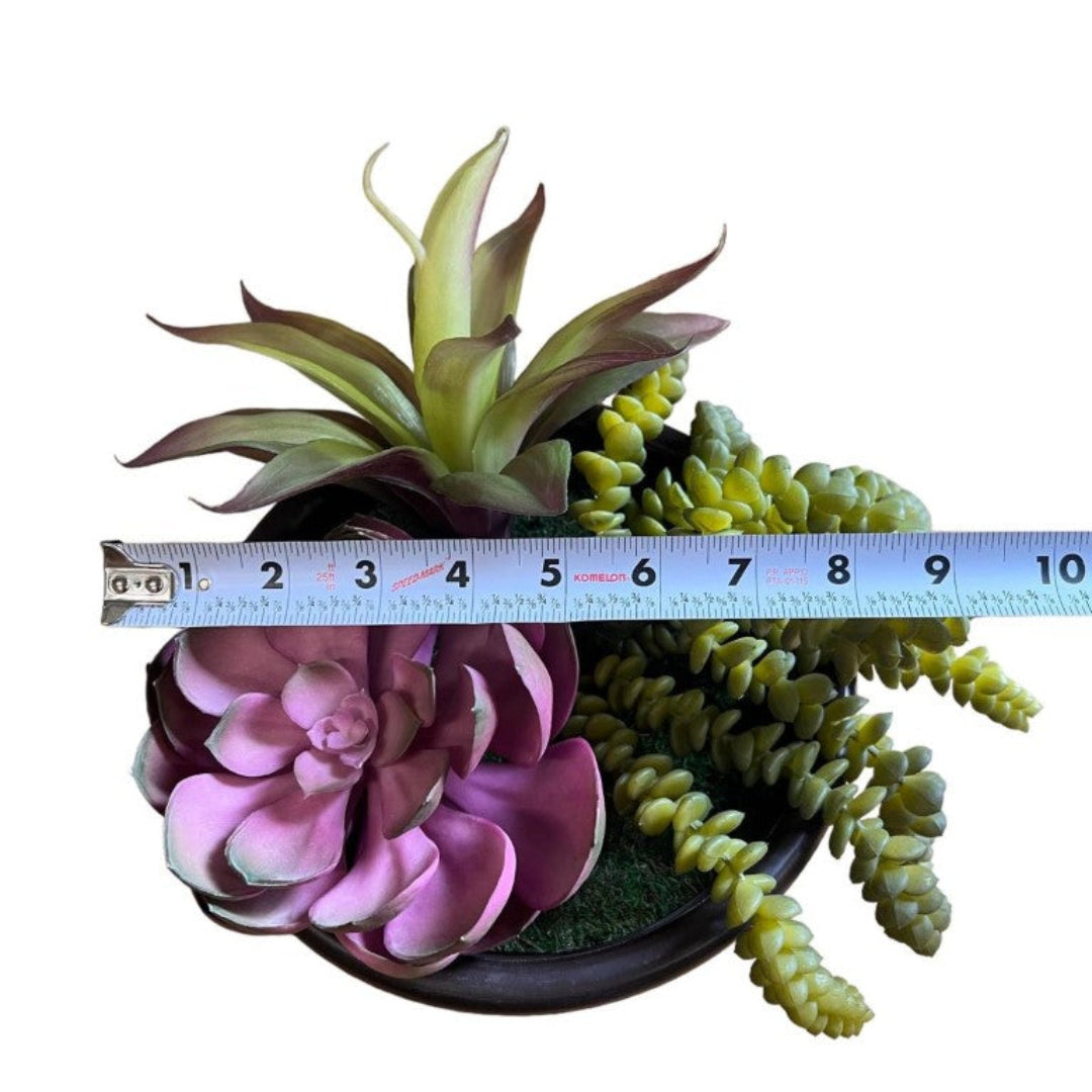 Artificial Gorgeous Succulent Plant in Plastic Pot