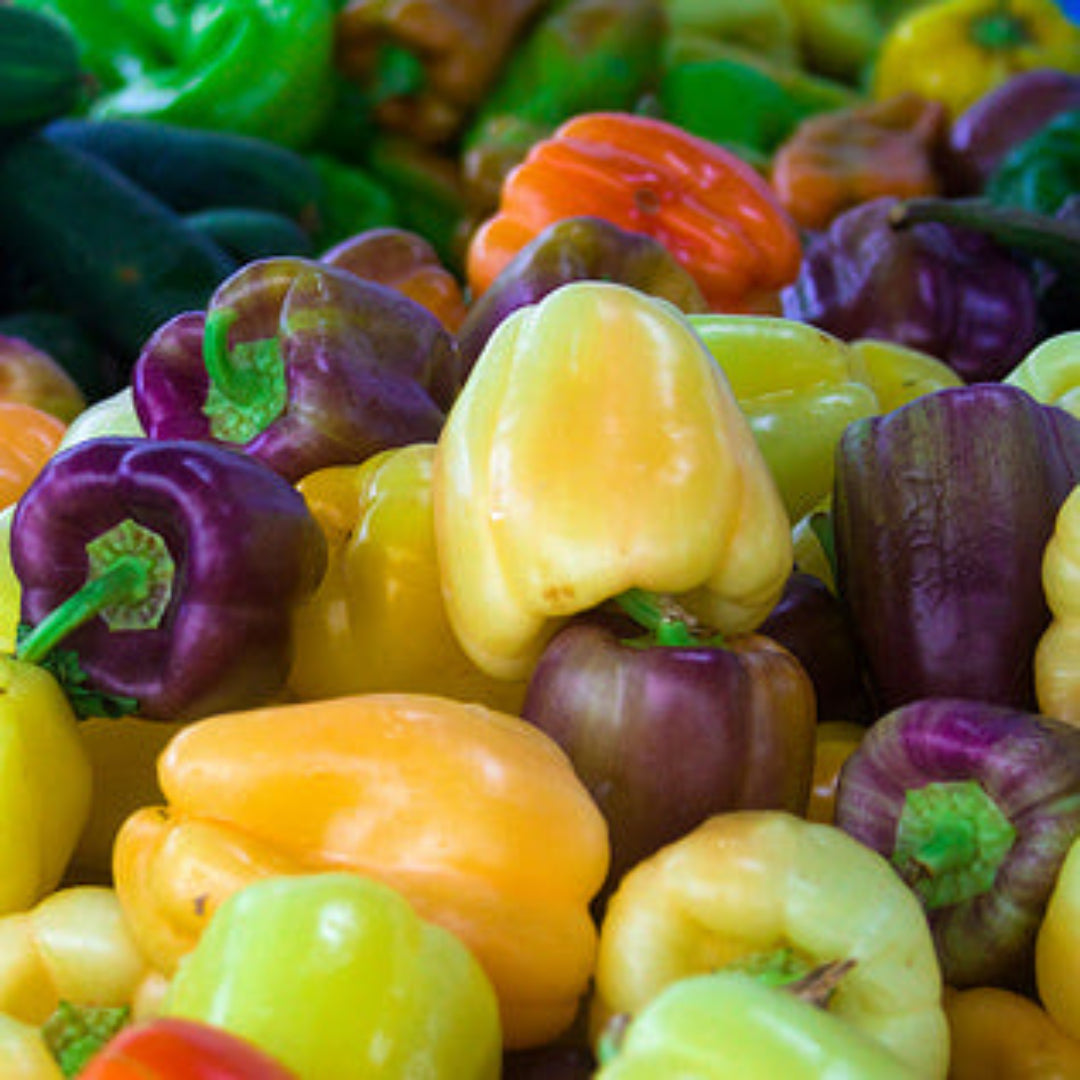 Heirloom Pepper
