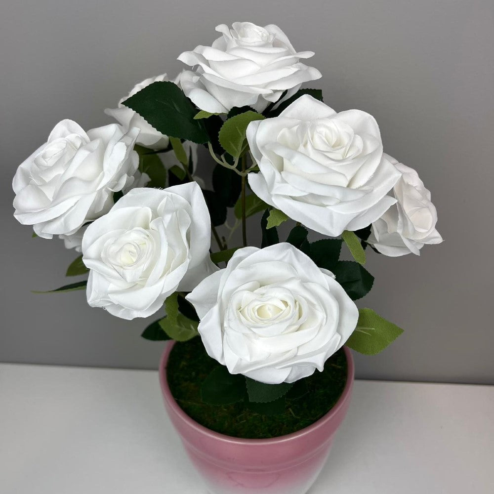 Gorgeous Roses in Ceramic Pot