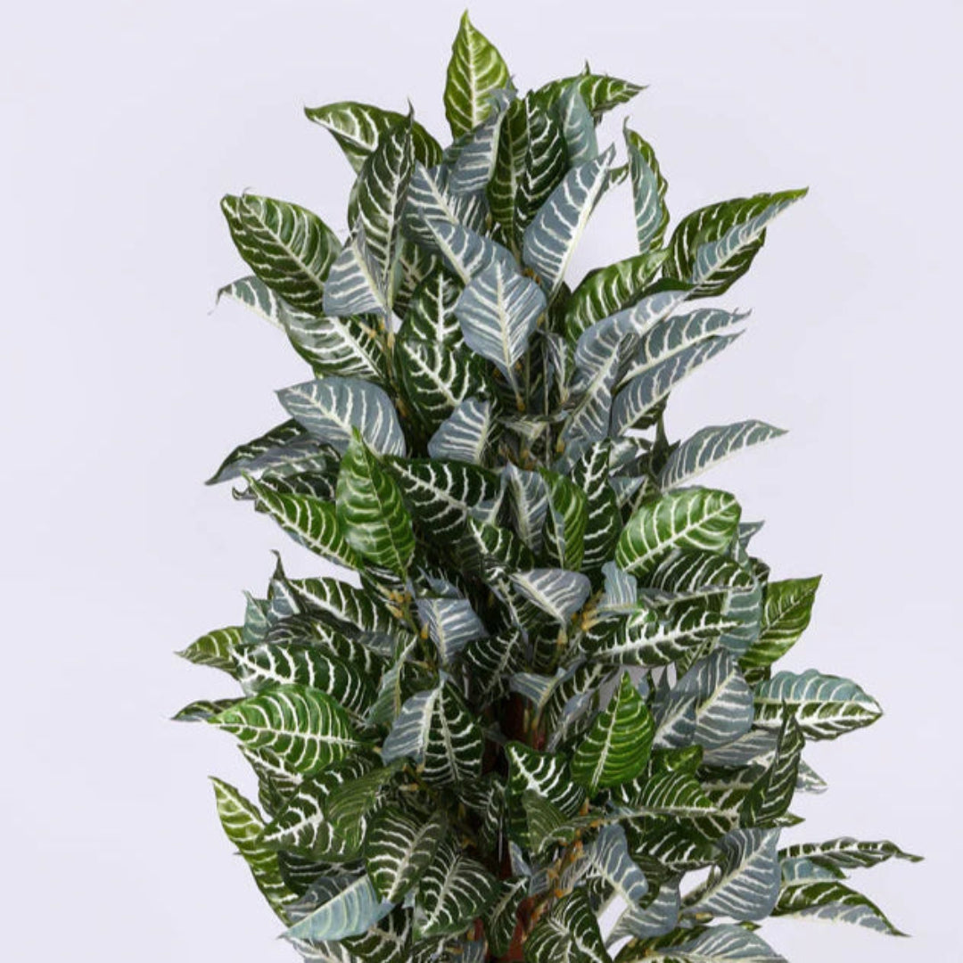 Artificial Plant : Green Zebra in Pot with 125 Real Touch Leaves
