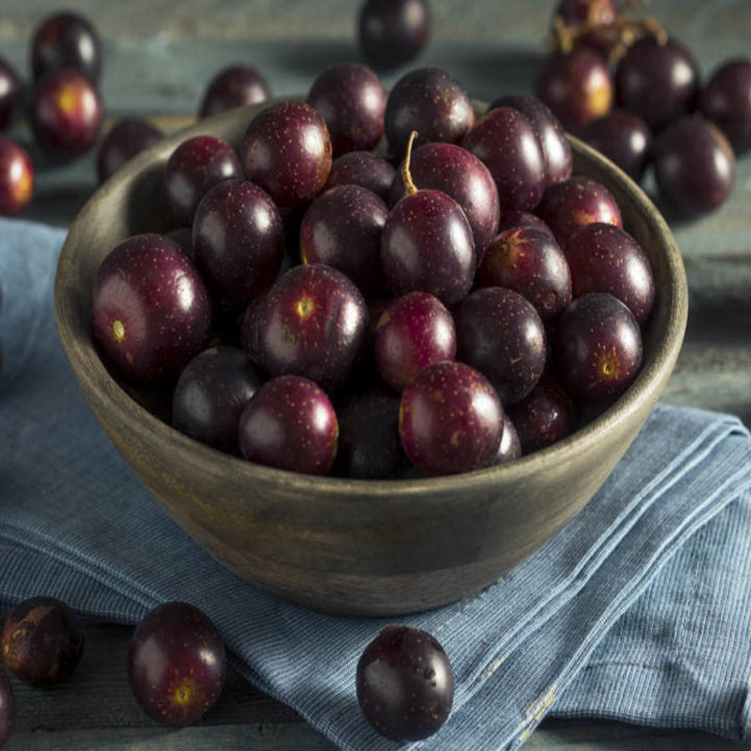 Georgia Red Muscadine