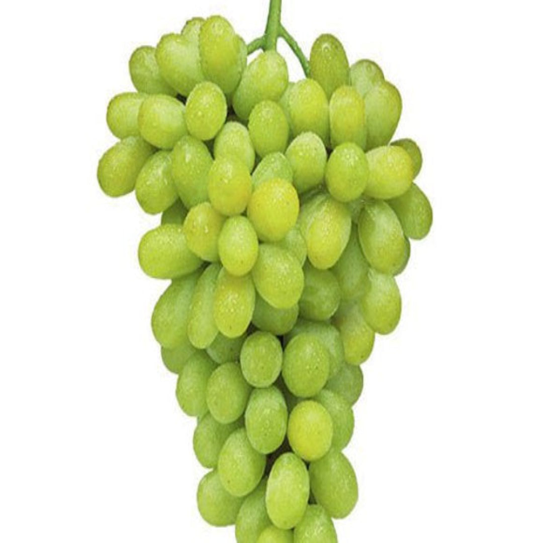 Fresh white grapes ready for harvest