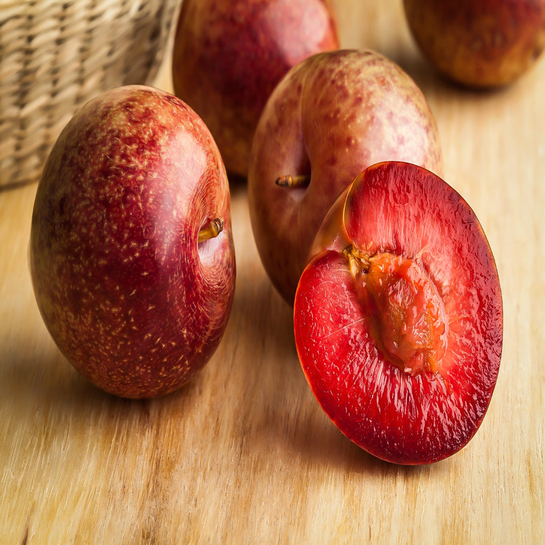 Hanska Plumcot-Hybrid cross between Plum an Apricot