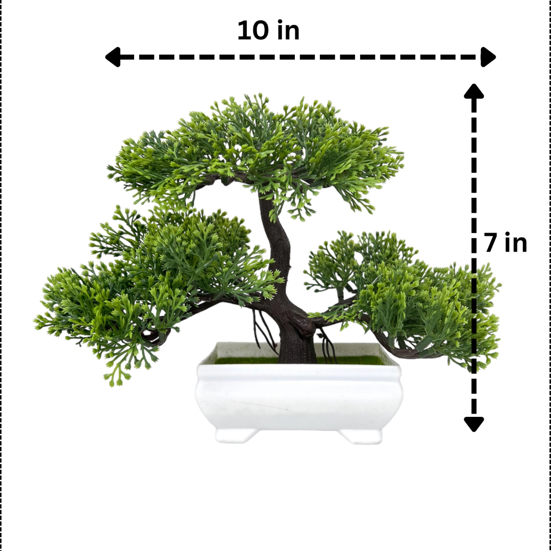 Gorgeous Green Three-Tiered Bonsai