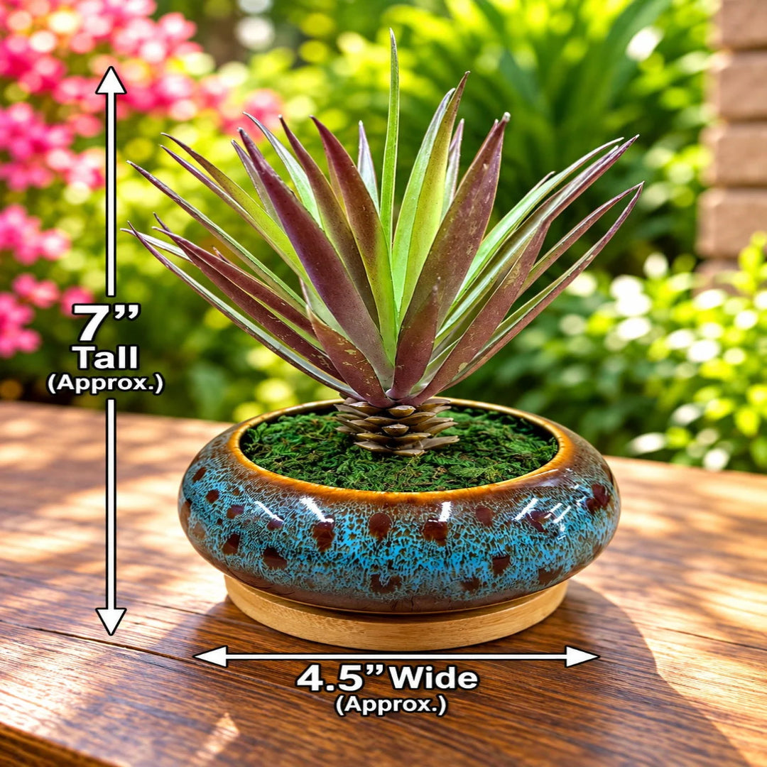 Artificial Green & Burgundy Spiky Succulent Decorative Ceramic Pot