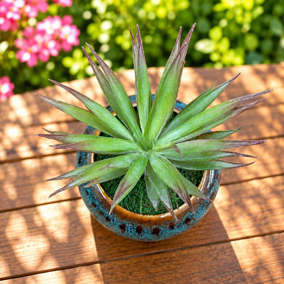 Artificial Green & Burgundy Spiky Succulent Decorative Ceramic Pot