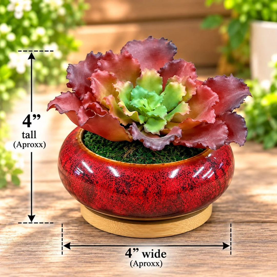 Artificial Red Ruffled Echeveria Succulent in Ceramic Pot