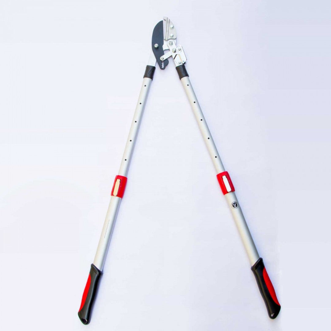 Telescoping Ratchet Lopper