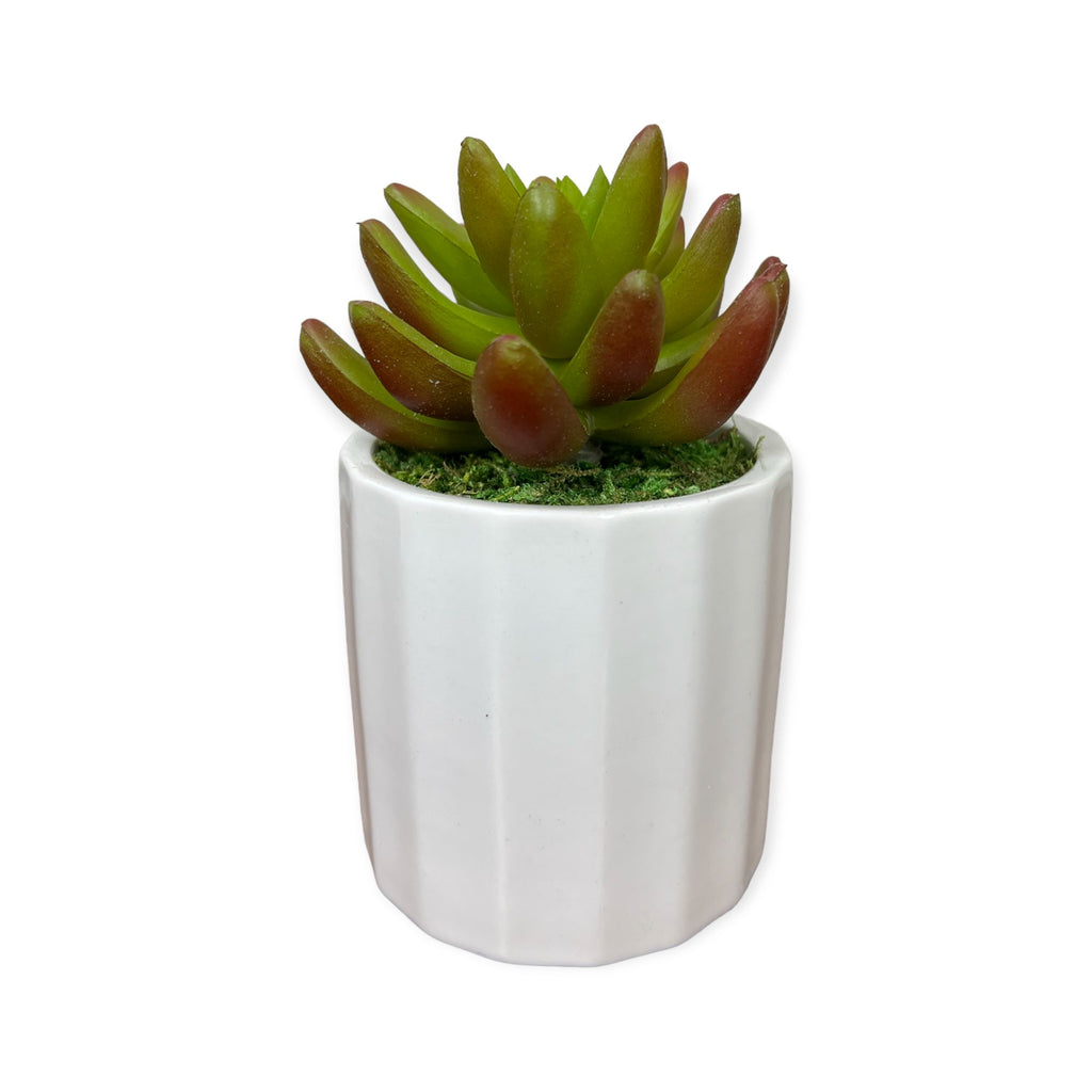 Gorgeous Artificial Succulent in Ceramic Pot
