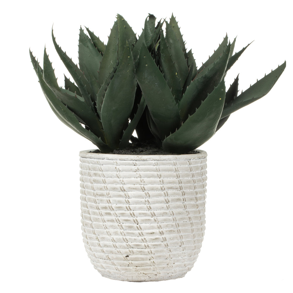 Artificial Plant : Green Succulent in Concrete Gray Pot - From World Famous Vickerman Products