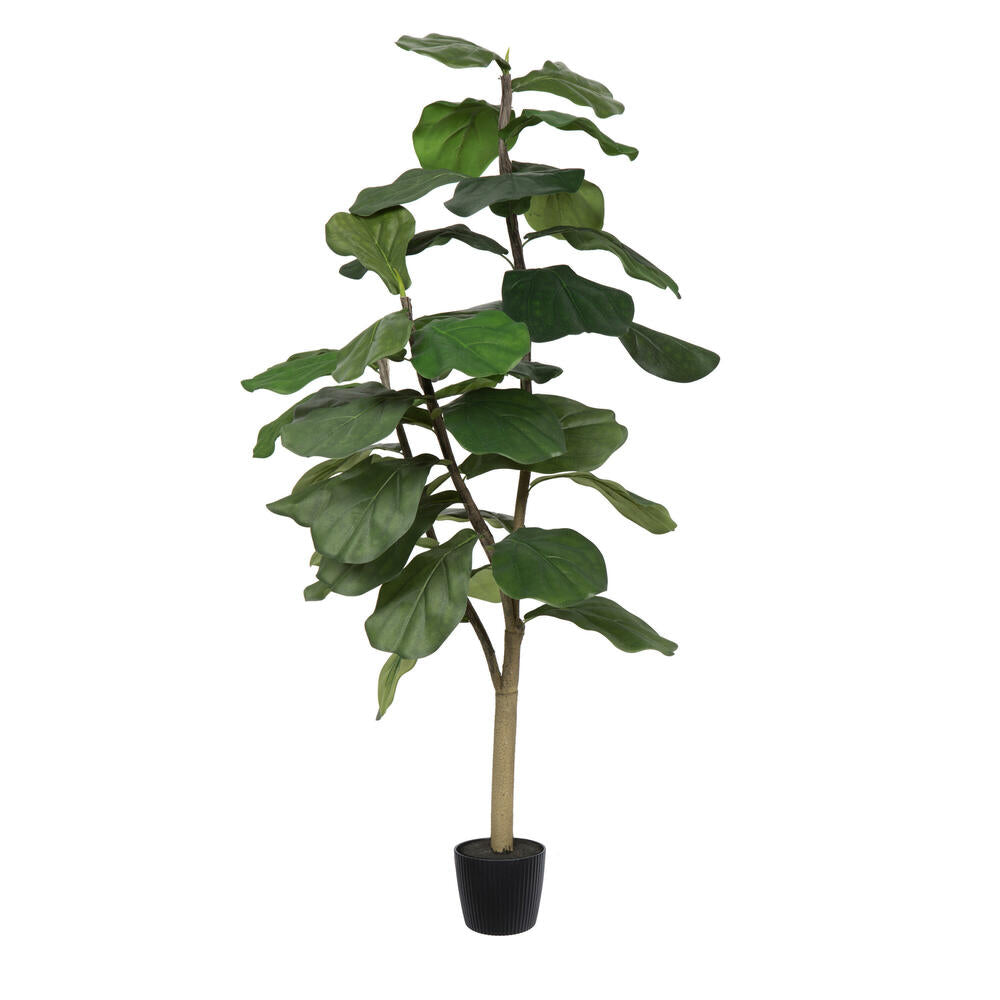 Artificial Plant : Potted Fiddle Tree - From World Famous Vickerman Products