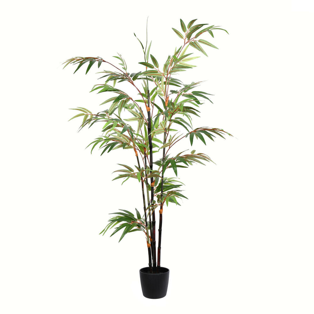 Artificial Plant : Potted Black Japanese Bamboo Tree - From World Famous Vickerman Products