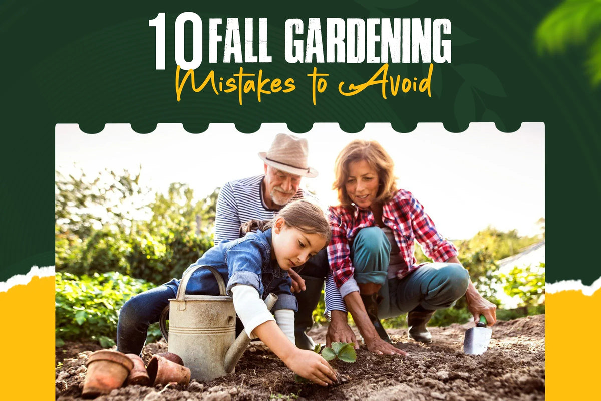 Common fall gardening mistakes that can harm plants