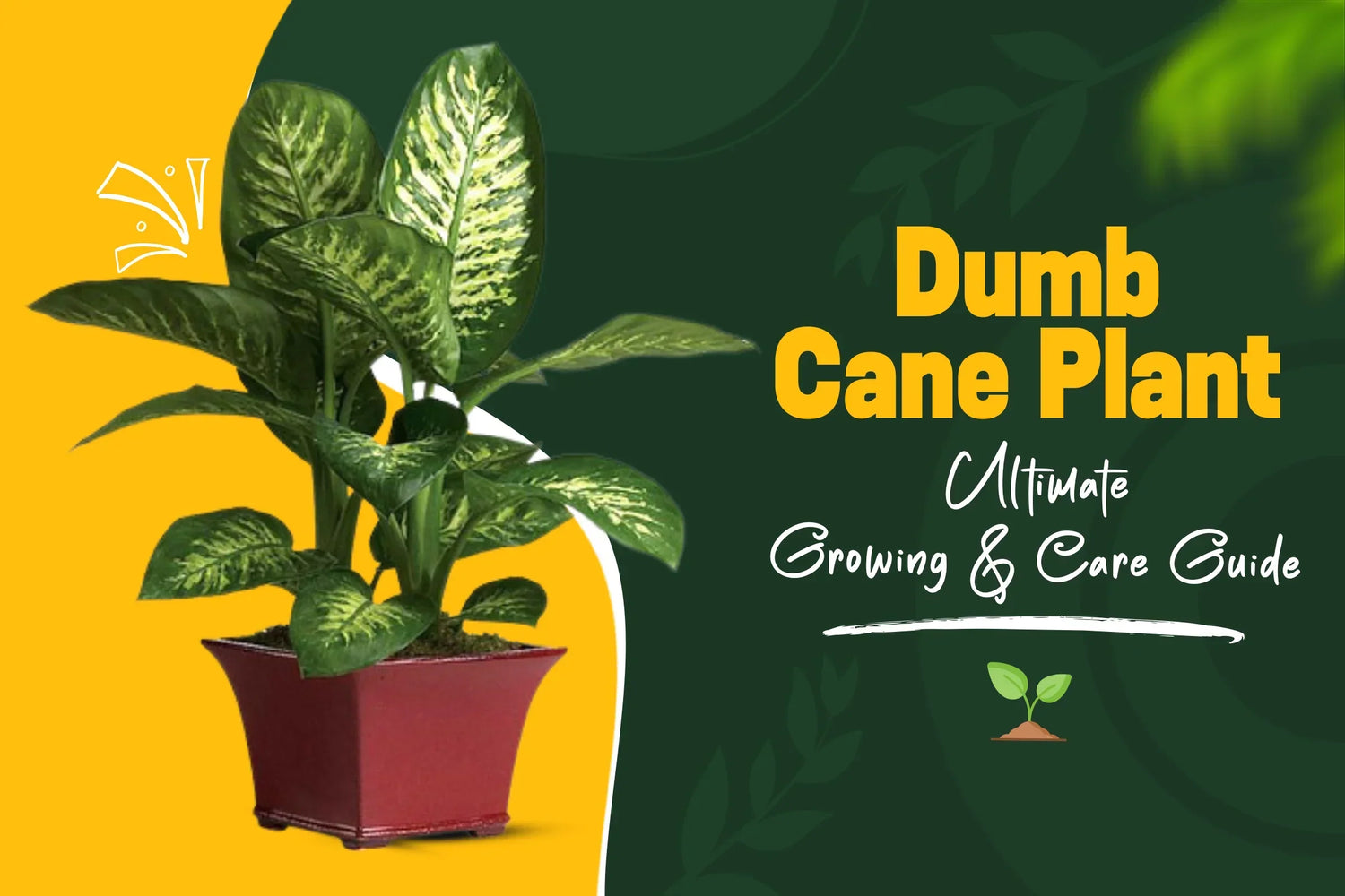 Dieffenbachia Care Guide: How to Grow a Healthy Dumb Cane Plant