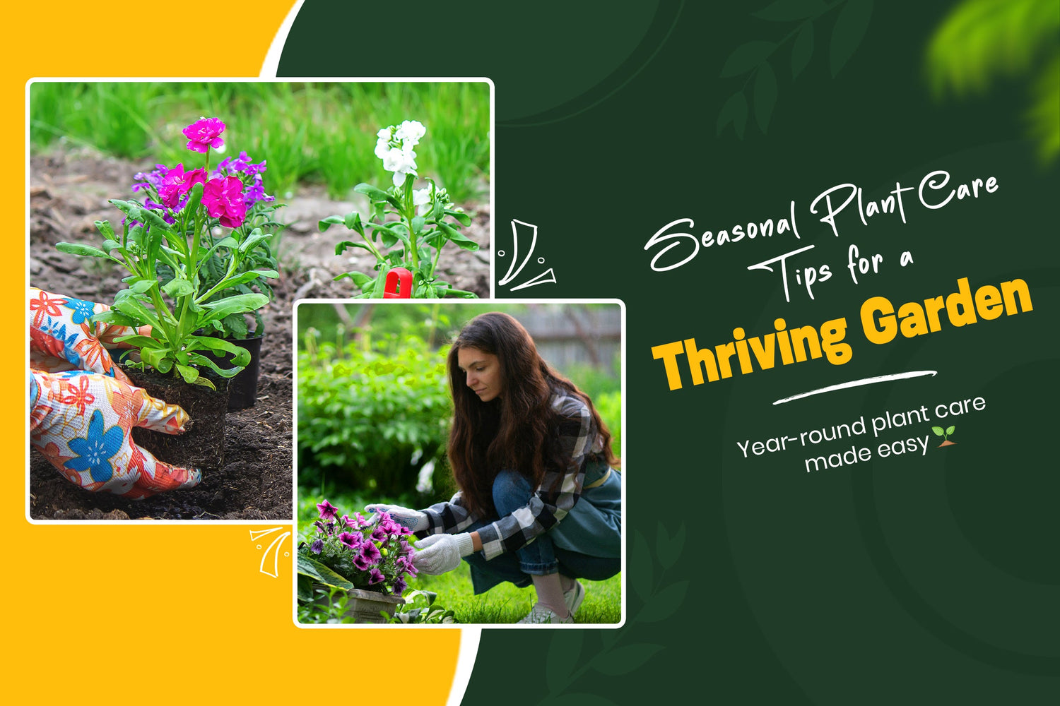 How Seasonal Changes Affect Plant Growth: Expert Tips for Home Gardeners in the USA