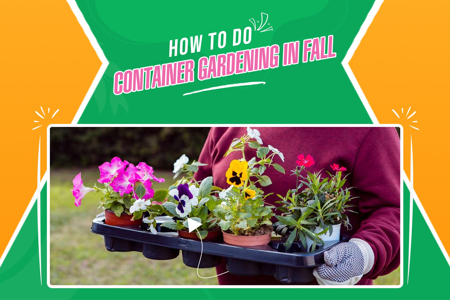 How to Do Container Gardening in Fall