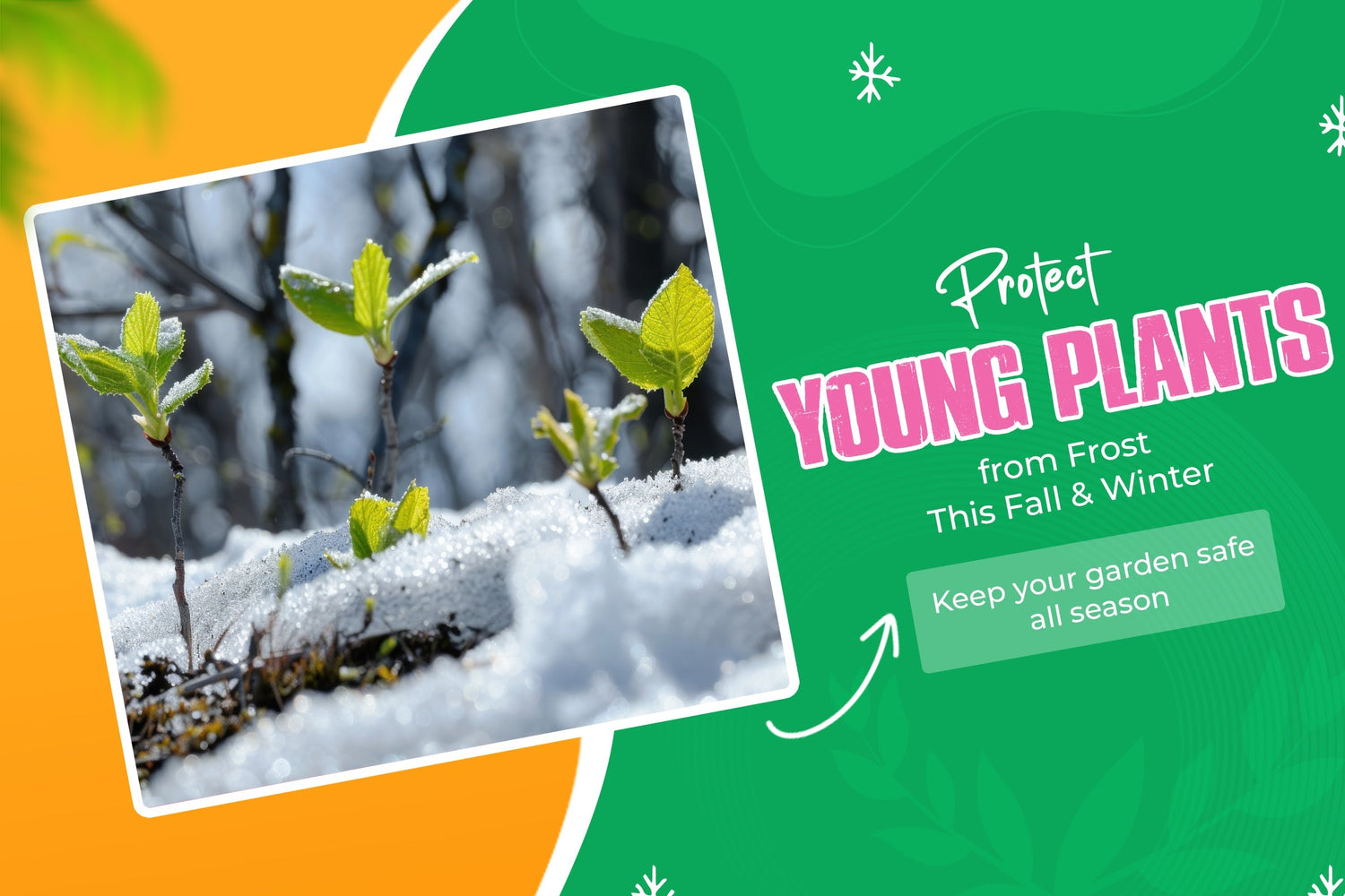 How to Protect Young Plants from Frost During Fall and Winter