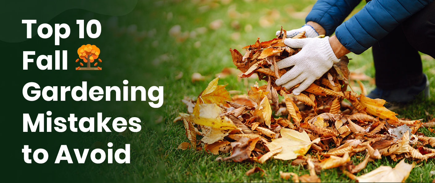 Top 10 Fall Gardening Mistakes to Avoid