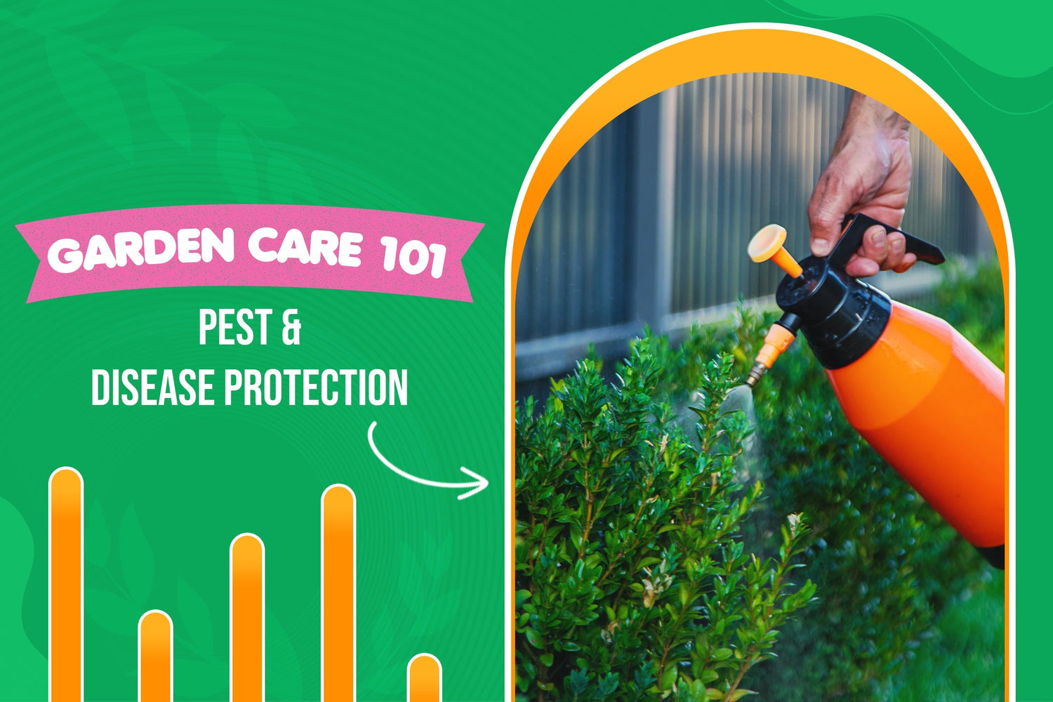 Garden Care 101: How to Protect Plants from Insects and Diseases