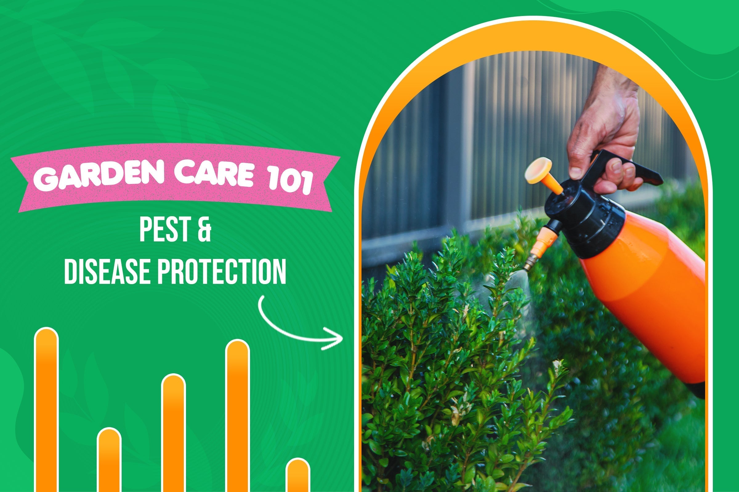 Garden Care 101: How to Protect Plants from Insects and Diseases