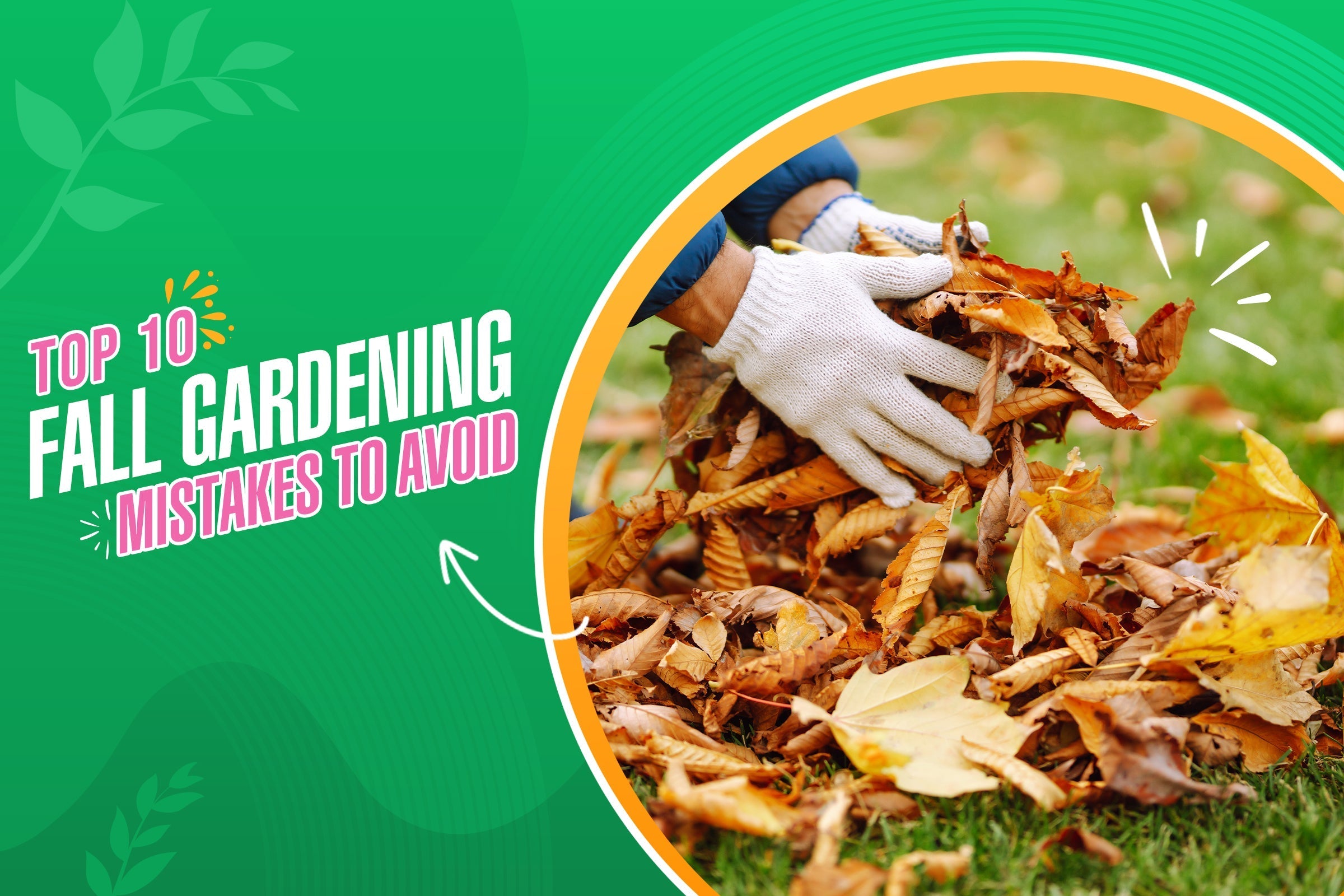 Top 10 Fall Gardening Mistakes to Avoid
