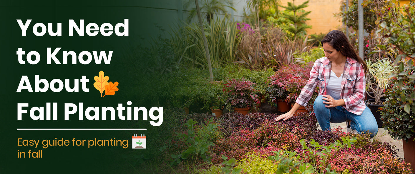 You Need to Know About Fall Planting: A Complete Guide for Gardeners