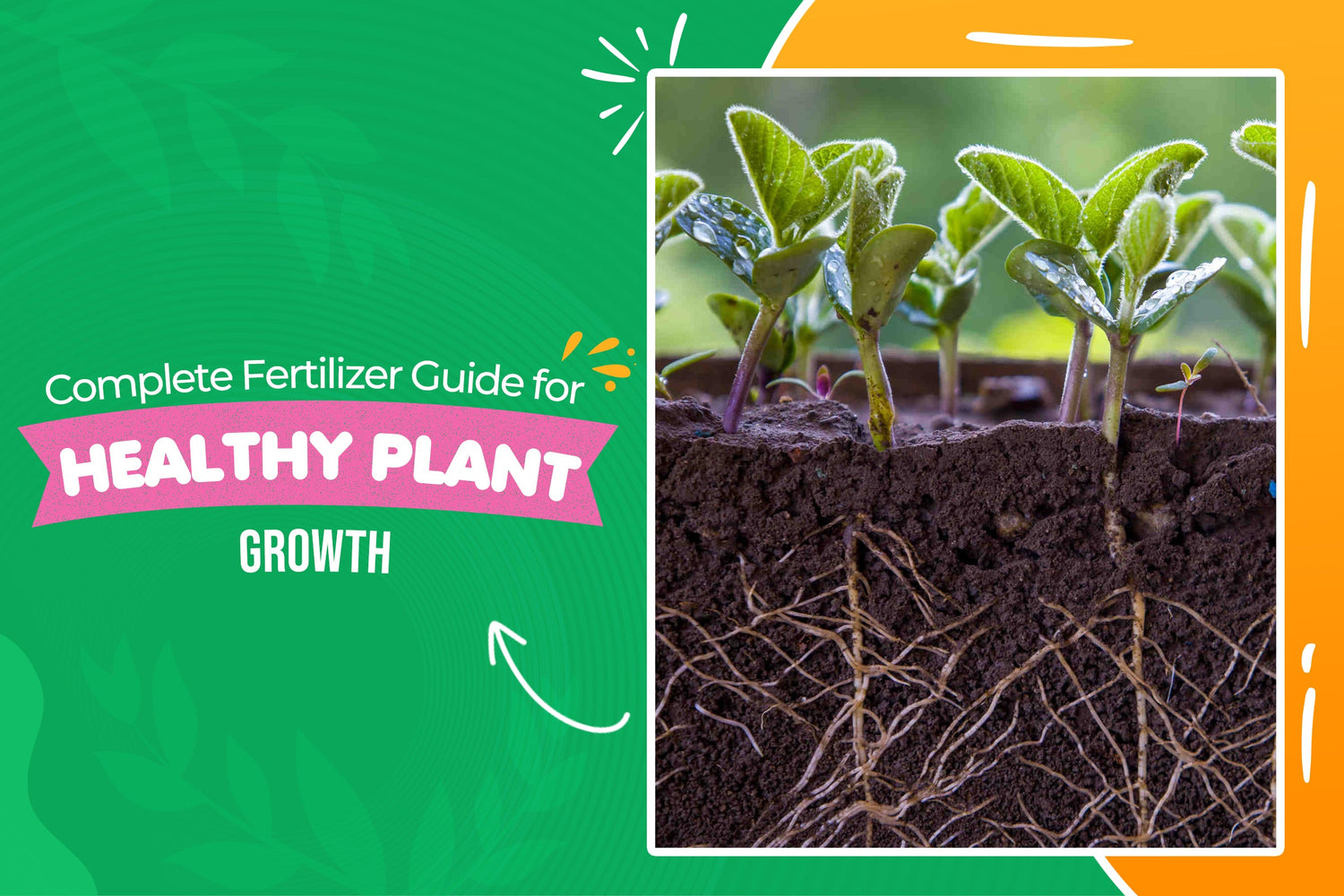 How to Fertilize Plants: Complete Fertilizer Guide for Healthy Growth