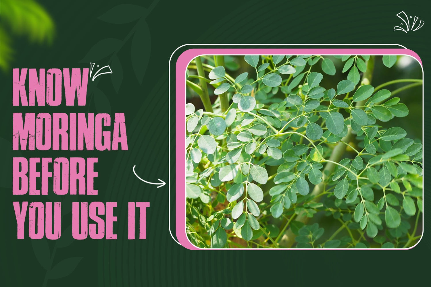 Unlocking the Truth about Moringa: A Superfood with Caution
