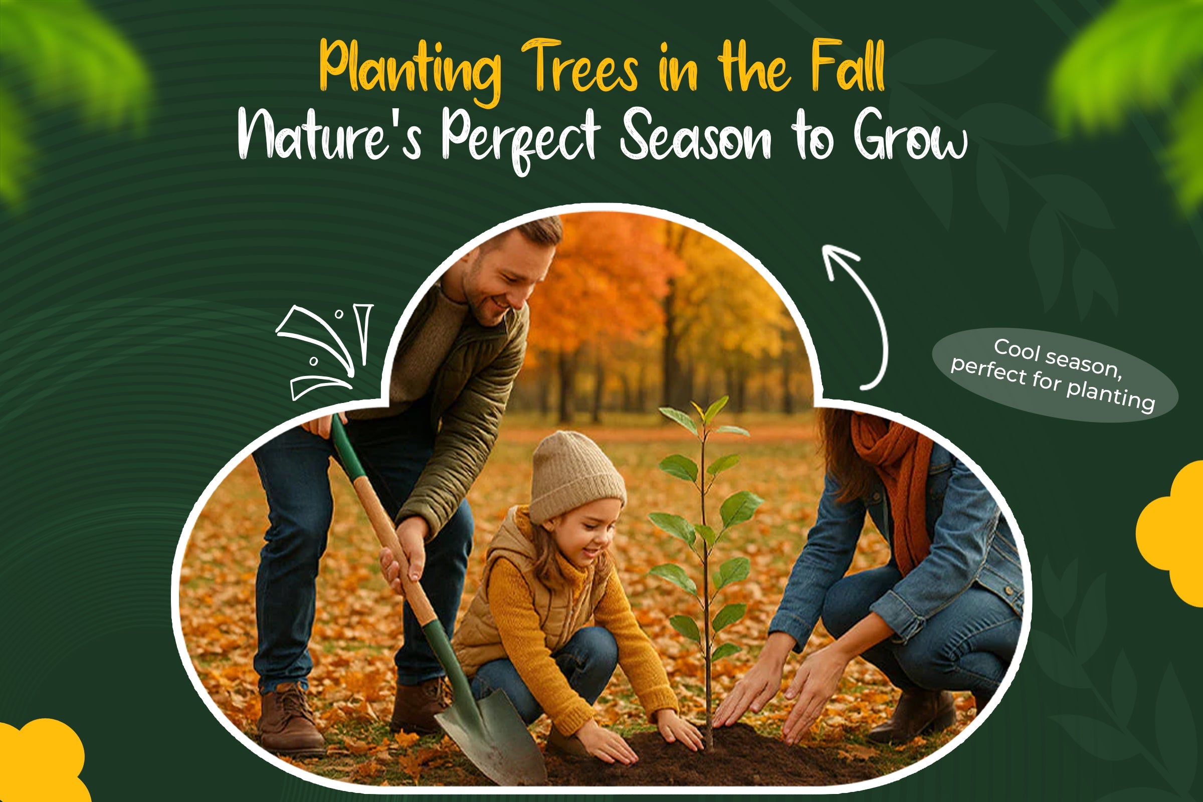 Why Fall Is the Best Time to Plant Trees and Shrubs in Your Garden